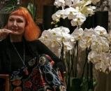Emotivna interpretacija Josipe Lisac u filmu Rajka Grlića
