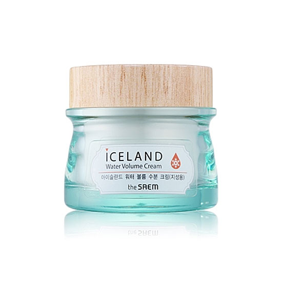 TheSaem iceland hydrating water volume cream