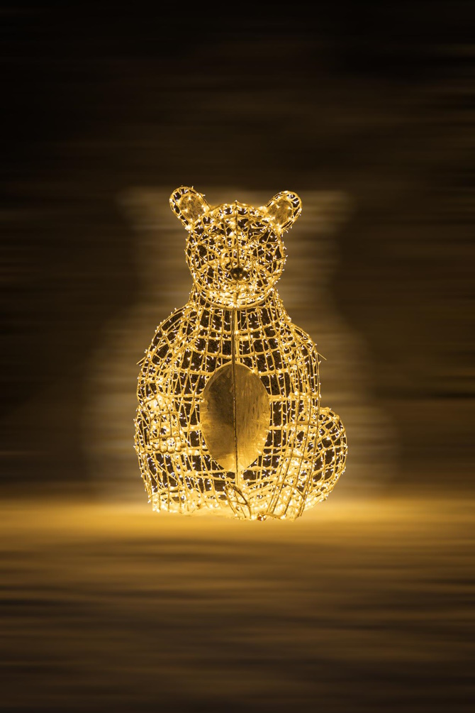 Foto: Katapult promocija