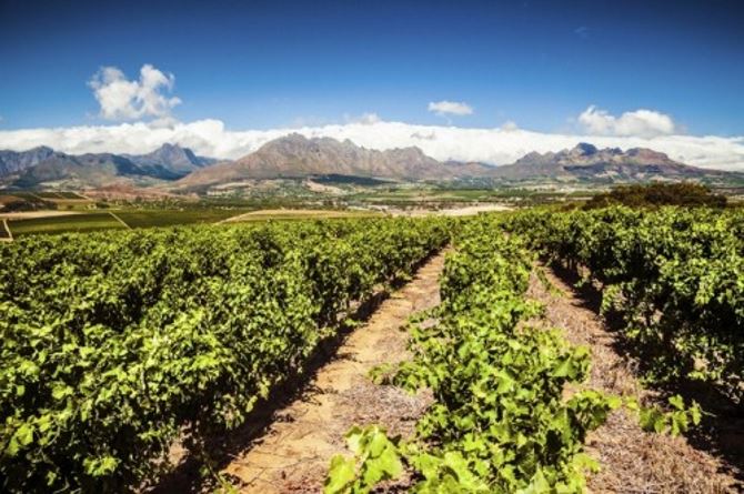 Stellenbosch, Južna Afrika