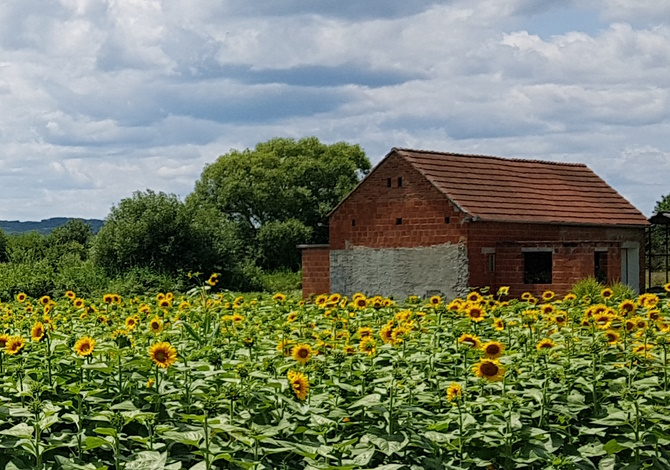 Slavonija. Foto: CroModa