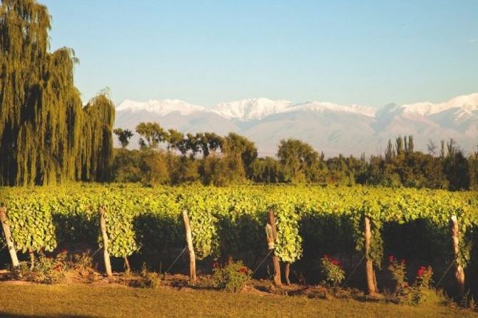  Mendoza, Argentina