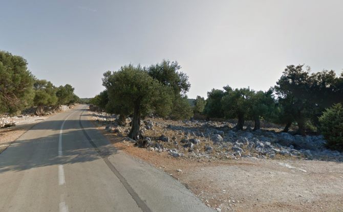 Lunjski maslinici | Screenshot: Google Street View