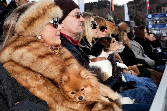 Martin Parr: Švicarska, St_Moritz Polo World Cup