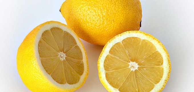Limun | Ilustracija | Foto: Wikipedia
