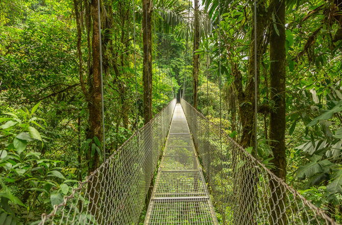 Monteverde. Foto: Booking.com