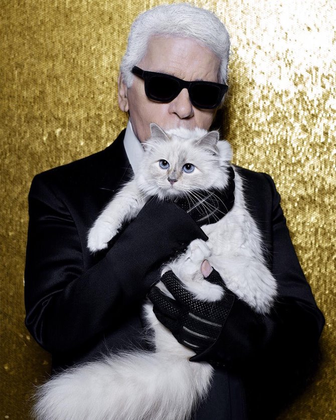 Karl Lagerfeld i njegova maca Choupette | Foto: Instagram