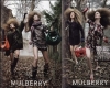 Mulberry