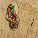 Havaianas - 239 kn