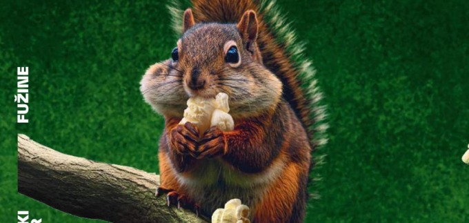 Cinehill i ovog ljeta donosi pravu filmsku feštu