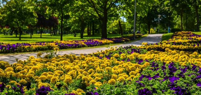 Floraart na Bundeku dobra je ideja za vikend