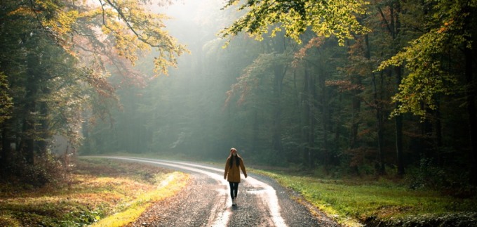 Highlander Medvednica kao poziv na uživanje u čistoj prirodi