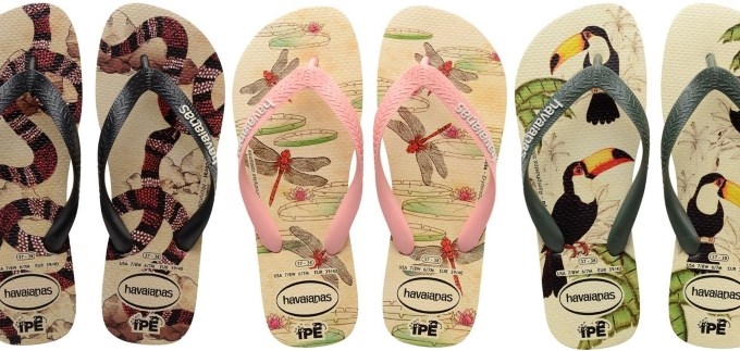 Havaianas IPE – japanke s printevima divljih vrsta