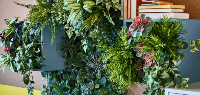 10 kreativnih ideja s biljkama u vašem domu