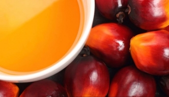 Dan egzotičnih okusa: Saznajte sve o prednostima palminog ulja!
