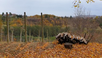 Evo zašto je izlet u Zagorje uvijek dobra ideja