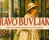 Novo izdanje Bravo buvljaka ove subote u Ilici 49