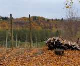 Evo zašto je izlet u Zagorje uvijek dobra ideja